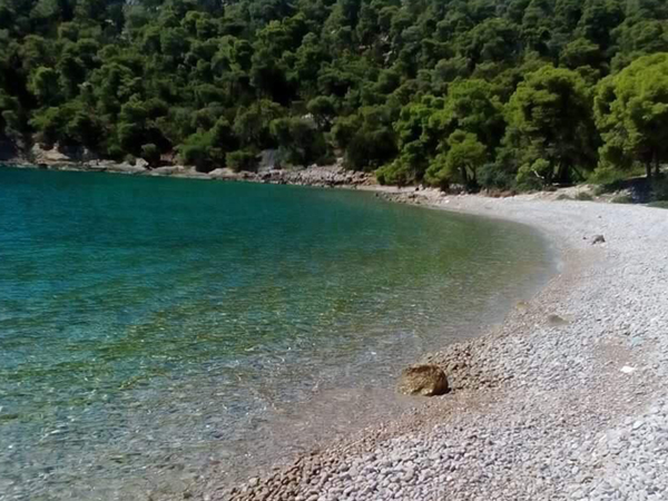 Παραλία Πολεμάρχας